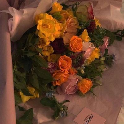 开云体云appapp下载