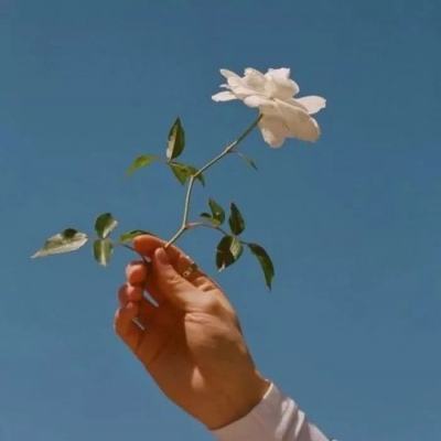 开云体云appapp下载