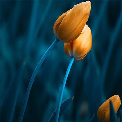 AG九游会下载手机版